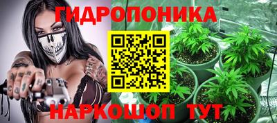 spice Заводоуковск