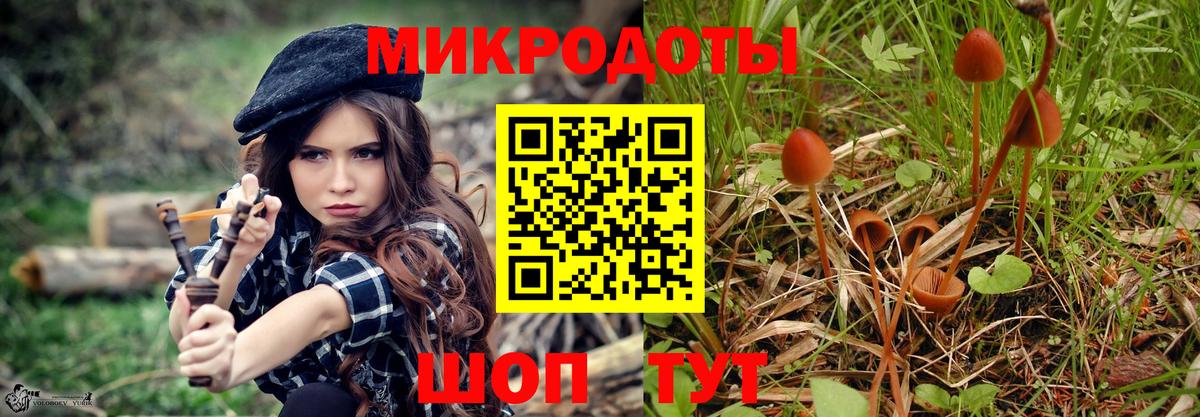 Краснодар  Псилоцибиновые грибы Magic Shrooms  Вход с VPN  Галлюциногенные грибы Psilocybe 