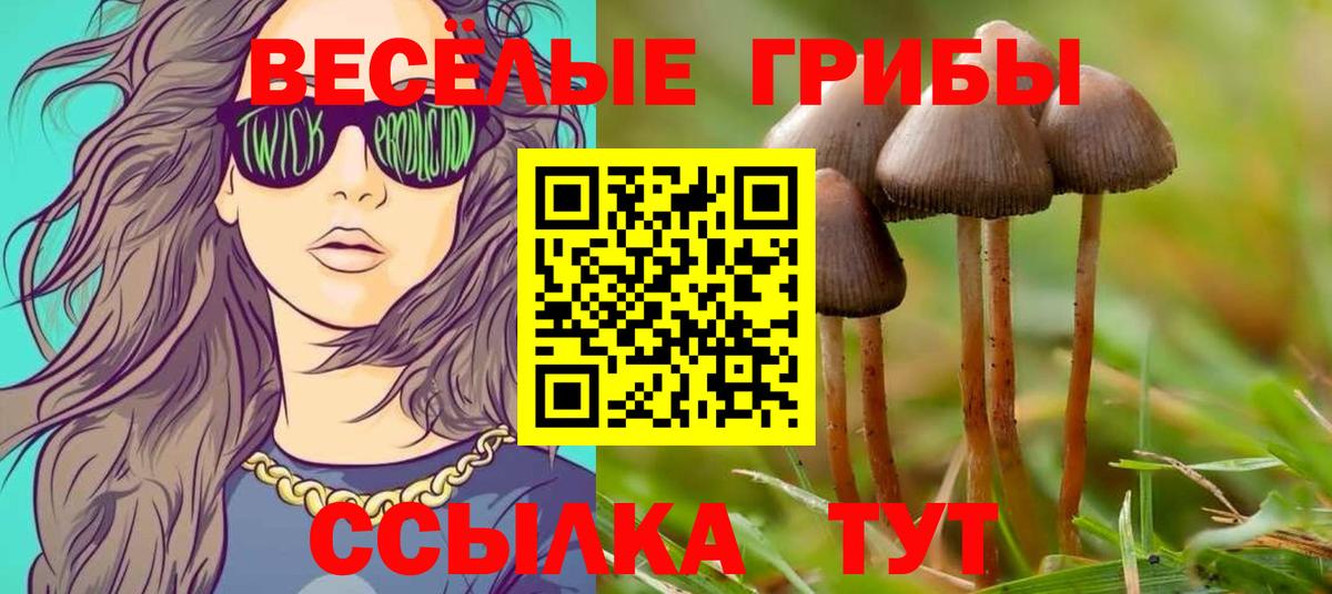 Псилоцибиновые грибы прущие грибы Краснодар