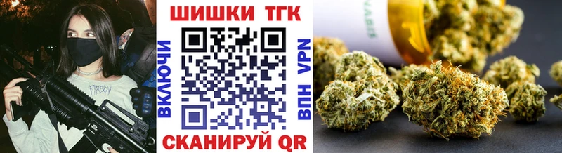 Бошки Шишки SATIVA & INDICA  где найти наркотики  Краснодар 